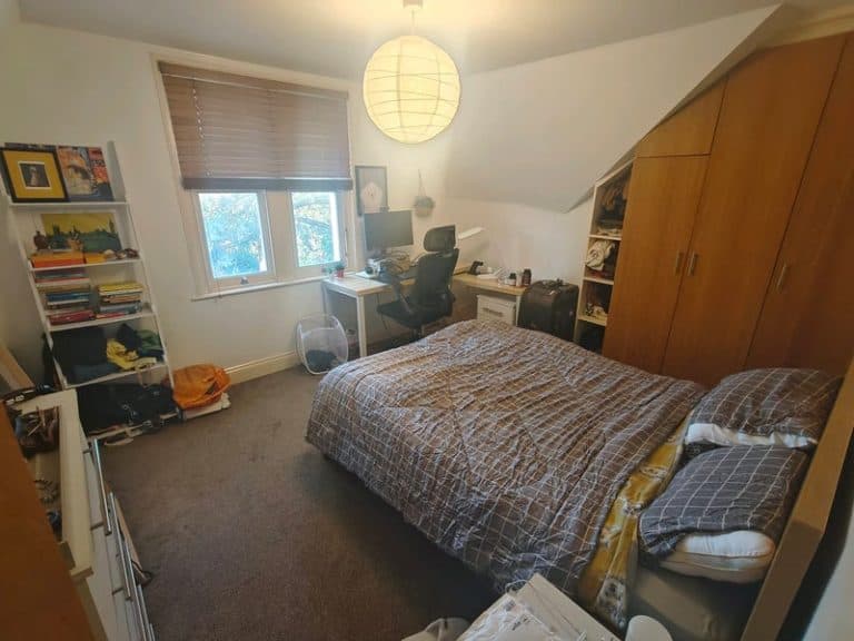 Double room in spacious Brixton Hill flat