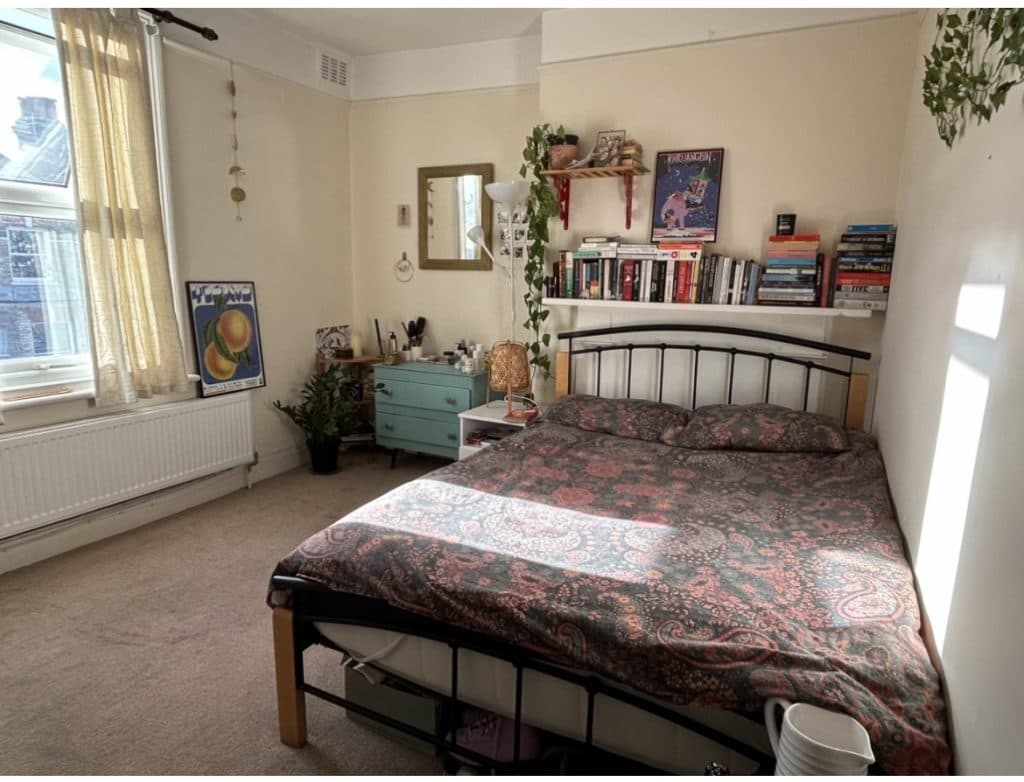 Dec/Jan Sublet Cosy double room in Brixton/Clapham