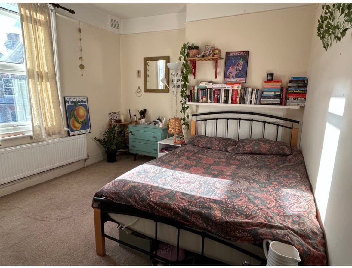 Dec/Jan Sublet Cosy double room in Brixton/Clapham - Image 1