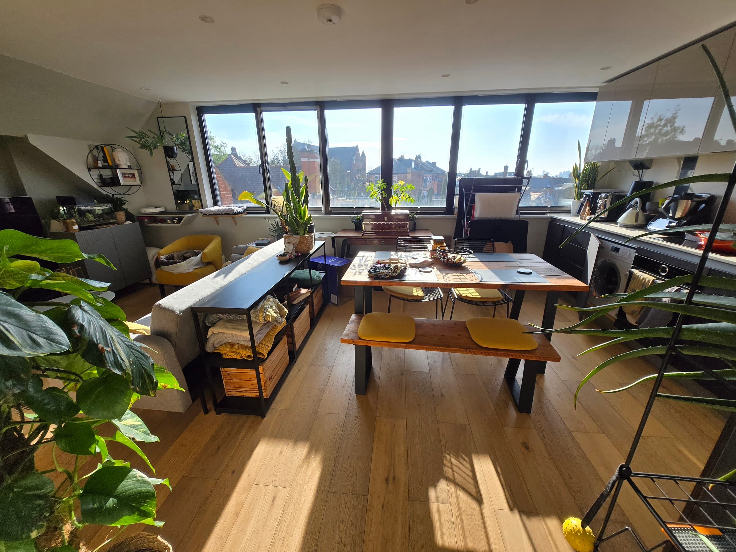 Warm, sunny flat in NW2, shortlet for 3 weeks